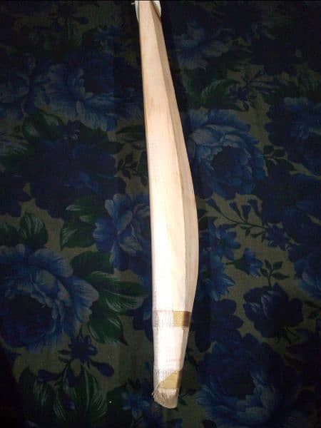 hard ball bat English willow 1