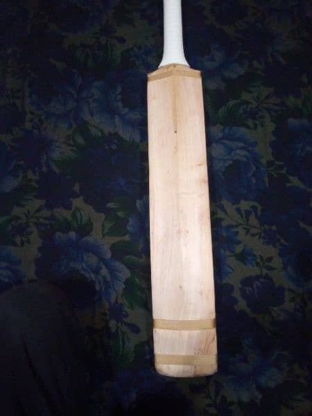 hard ball bat English willow 2