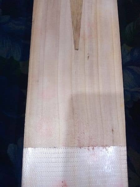 hard ball bat English willow 3