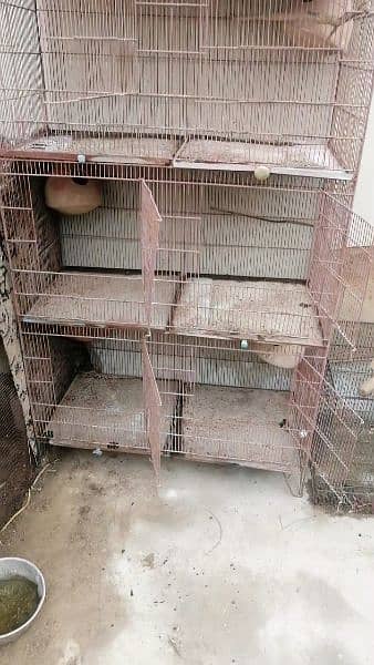 cage for sale 2