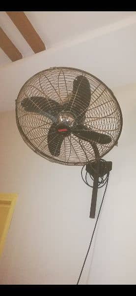 3 royal bracket fan 1