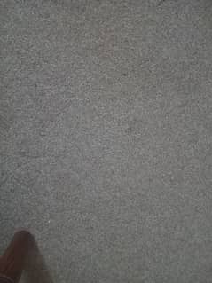 carpet for urgent sale