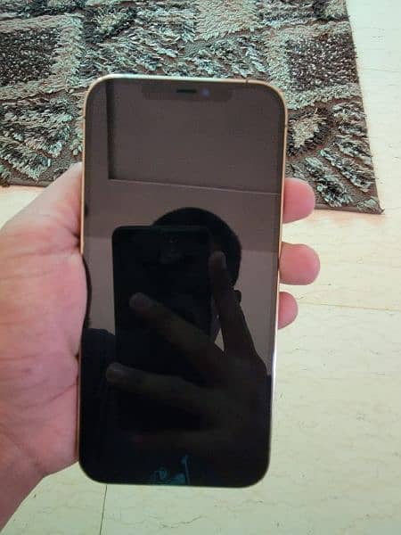 iPhone 12 Pro Max Non PTA 128 GB 1