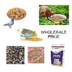 birds food parrot hen feed available wholesale price