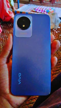 Vivo