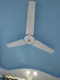 Used Ceiling Fans Royal Fan For sale 0