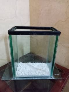 fish aquarium 8 mm glass 12 inch length 7 width 03078126036