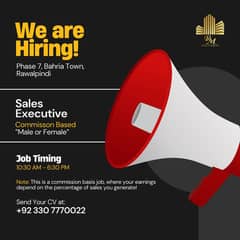 Sales Executive