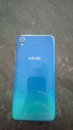 vivo