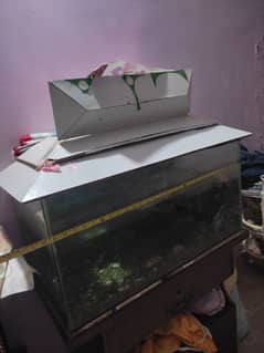 fish aquarium +stand+ 2 fish