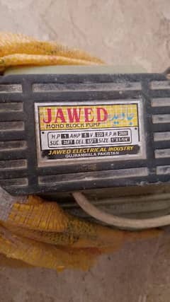 jawed