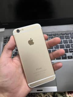 Iphone 6 (Gold)