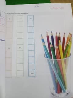 tutor required