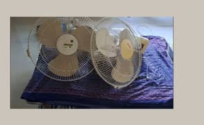 4 fans 0