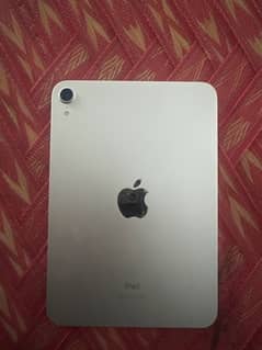 iPad mini 6