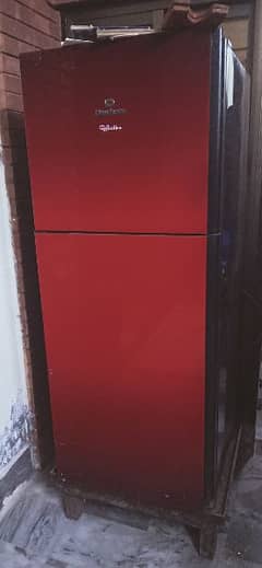 Dalwance Fridge (large size)