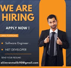 Software Engineer . NET DEVELOPER