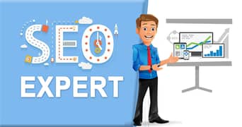 Need SEO Expert