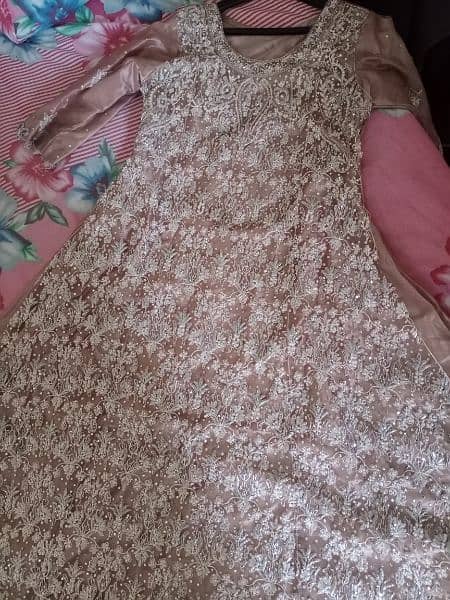 Walima maxi 1