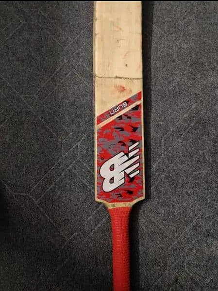 Cricket Bat 1