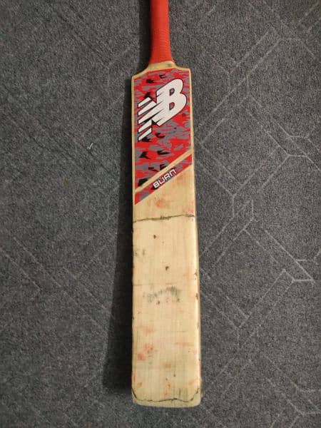 Cricket Bat 2