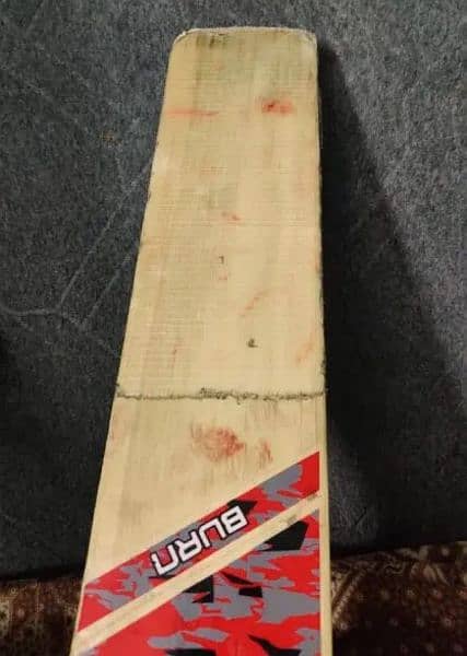 Cricket Bat 3