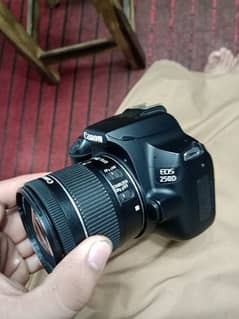 canon 250d with Lens 18 55 stm