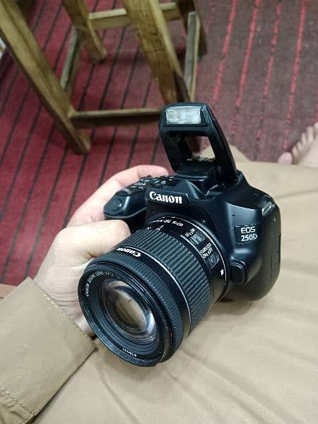 canon 250d with Lens 18 55 stm 1