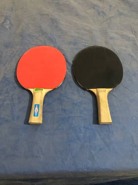 Table Tennis indoor game ping pong 4