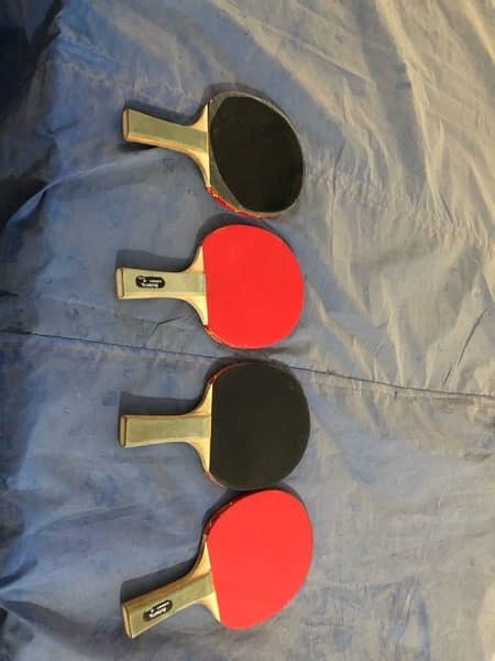 Table Tennis indoor game ping pong 5