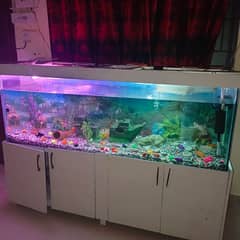 Fish Aquarium Big Size For Sale Complete