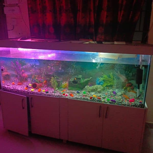 Fish Aquarium Big Size For Sale Complete 3