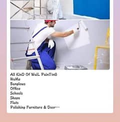 Professional Wall Paint And Polish work