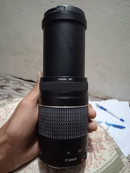 Canon 75-300 6