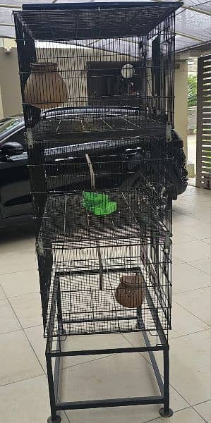 Cage for parrots 1