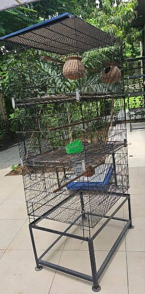 Cage for parrots 2