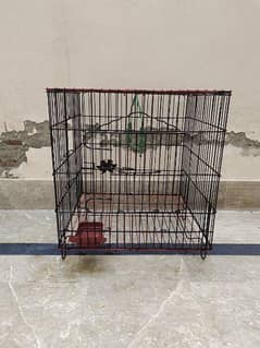 birds cage