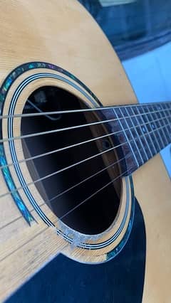 Fender guitar semi acoustic