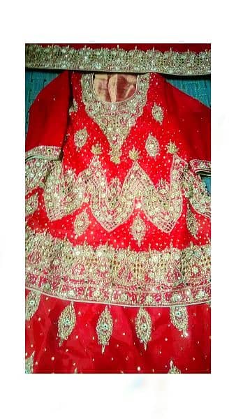 red lehnga  hand made work fresh condition contact 03449802619 4