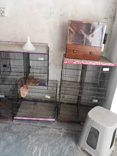 Some Birds Cages and breeding boxs