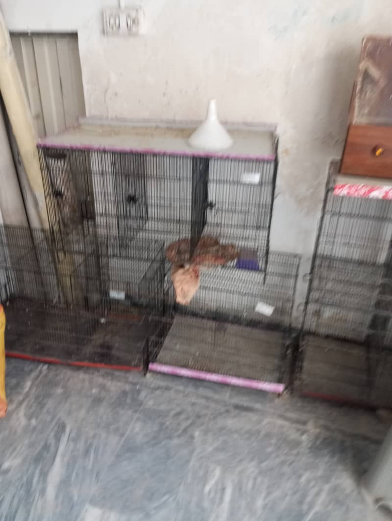 Some Birds Cages and breeding boxs 1