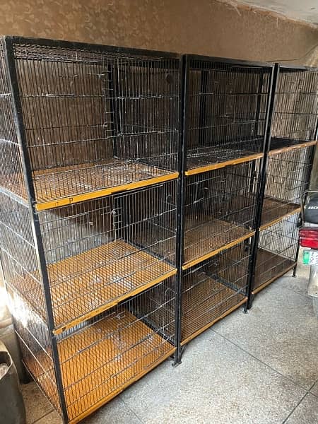 parrot finches cage 4