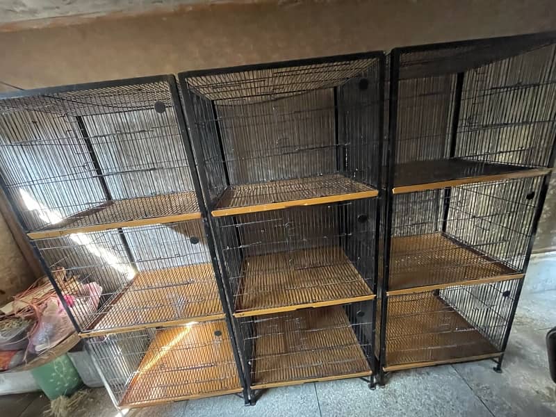 parrot finches cage 5