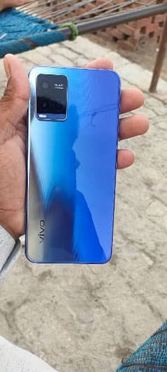 vivo