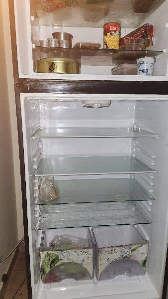 DAWLANCE FULL SIZE REFRIGERATOR SLIGHTLY USE FOR SALE 6