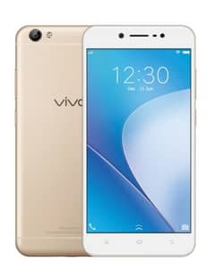 Vivo Y 66 with charger hand free and box h