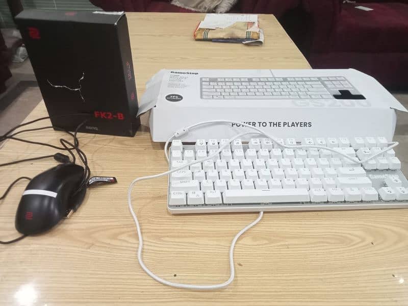 BenQ Zowie FK2-B (Dubai model) and GameStop mechanical gaming keyboard 1