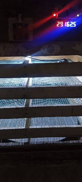 folding iron cage for sale 3