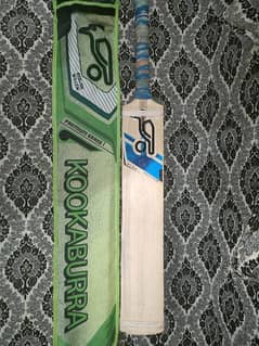 Kookaburra Hard Ball Cricket Bat