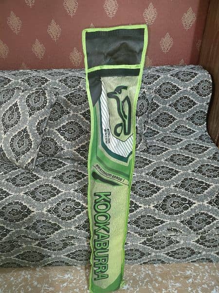 Kookaburra Hard Ball Cricket Bat 6